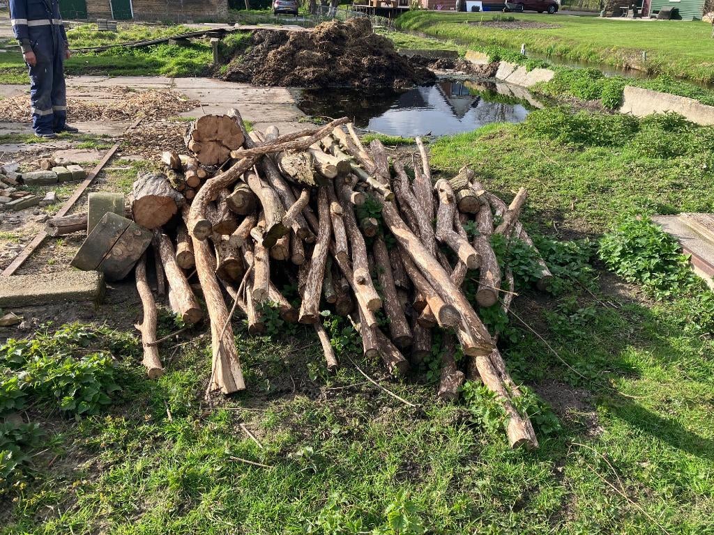 Brandhout, 3 tot 6 m³, Ophalen, Overige houtsoorten, Stammen