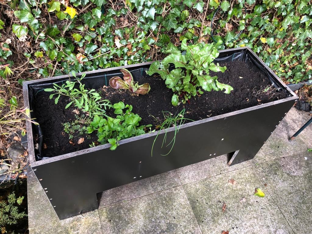 Kweektafel- Moestuin- kruidentuin plantenbak, Tuin en Terras, Ophalen, Overige materialen, Gebruikt, Minder dan 25 cm