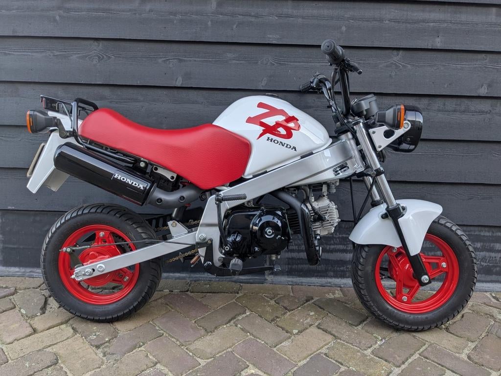 Honda ZB50 in absolute nieuwstaat, Fietsen en Brommers, Ophalen, Overige modellen, Maximaal 45 km/u, 49 cc
