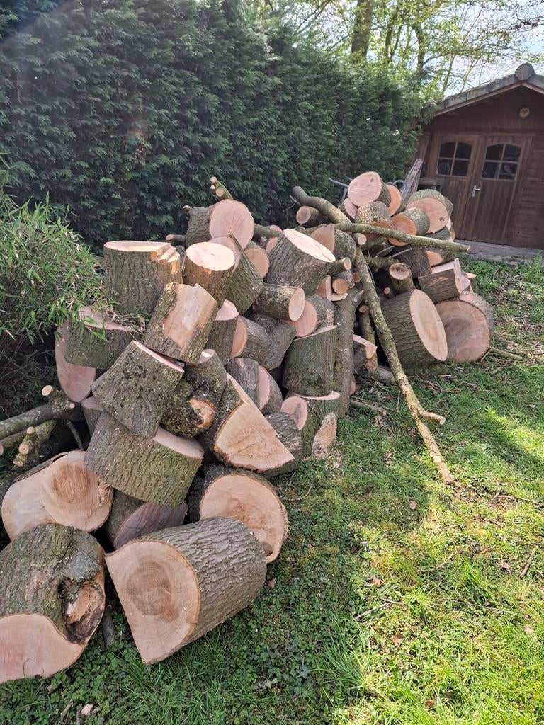 Haardhout te koop Essen., Minder dan 3 m³, Ophalen of Verzenden