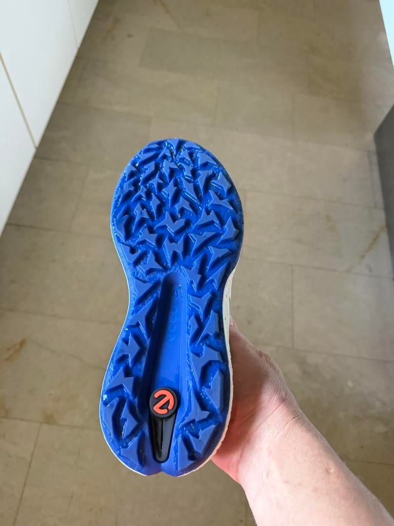 Nieuwe golfschoenen Ekko M golf Biom H5 maat 43, Ophalen of Verzenden, Nieuw, Schoenen, Overige merken