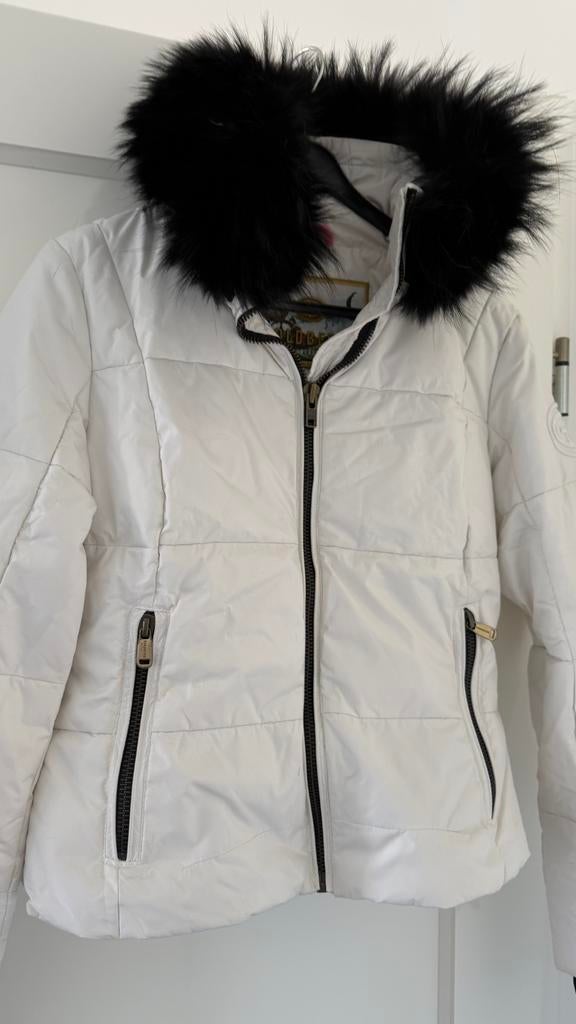 Goldbergh jas 38, Ophalen of Verzenden, Gedragen, Maat 38/40 (M), Jack