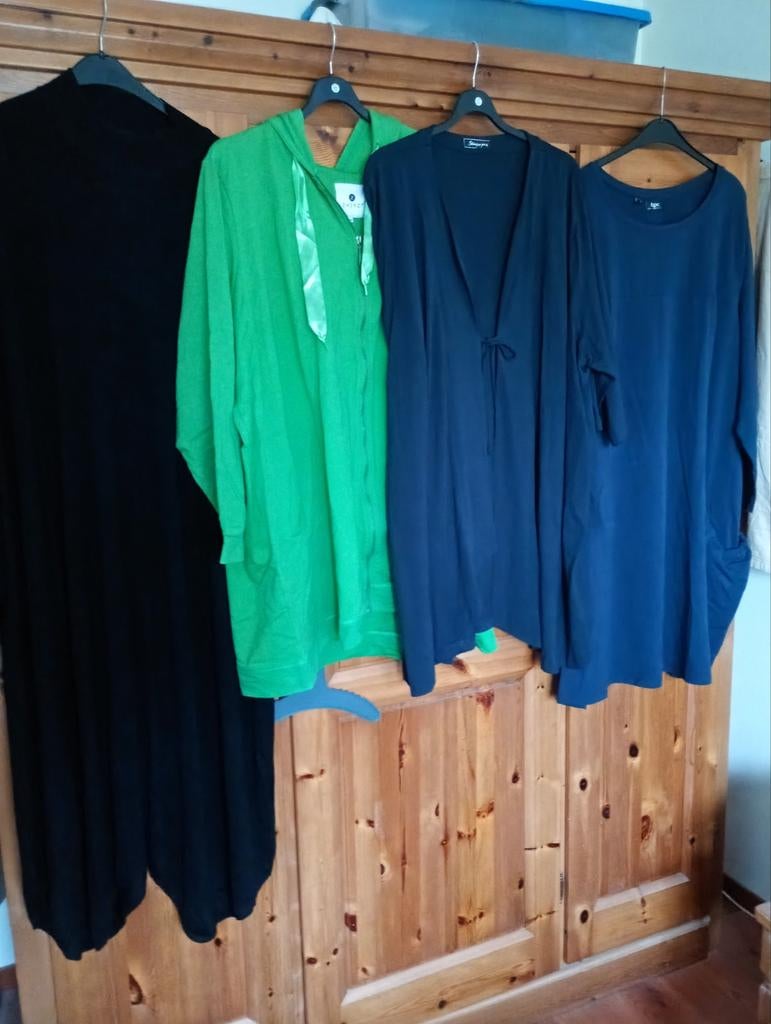 Kleding pakket geschikt voor maat 56/58, Ophalen of Verzenden, Zo goed als nieuw, Maat 46/48 (XL) of groter