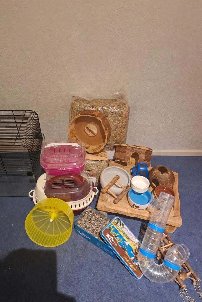 Hamster kooi met spullen, Kooi, Minder dan 75 cm, Zo goed als nieuw, Hamster