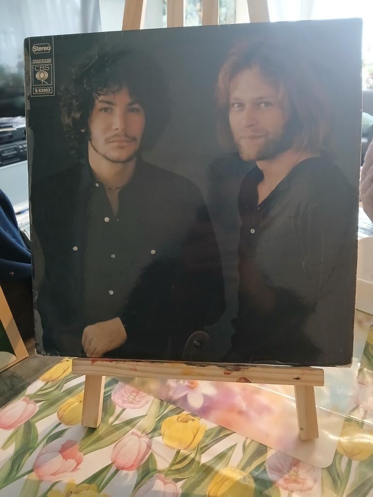 Dan Fogelberg & Tim Weisberg - Twin Sons of Different, Ophalen of Verzenden