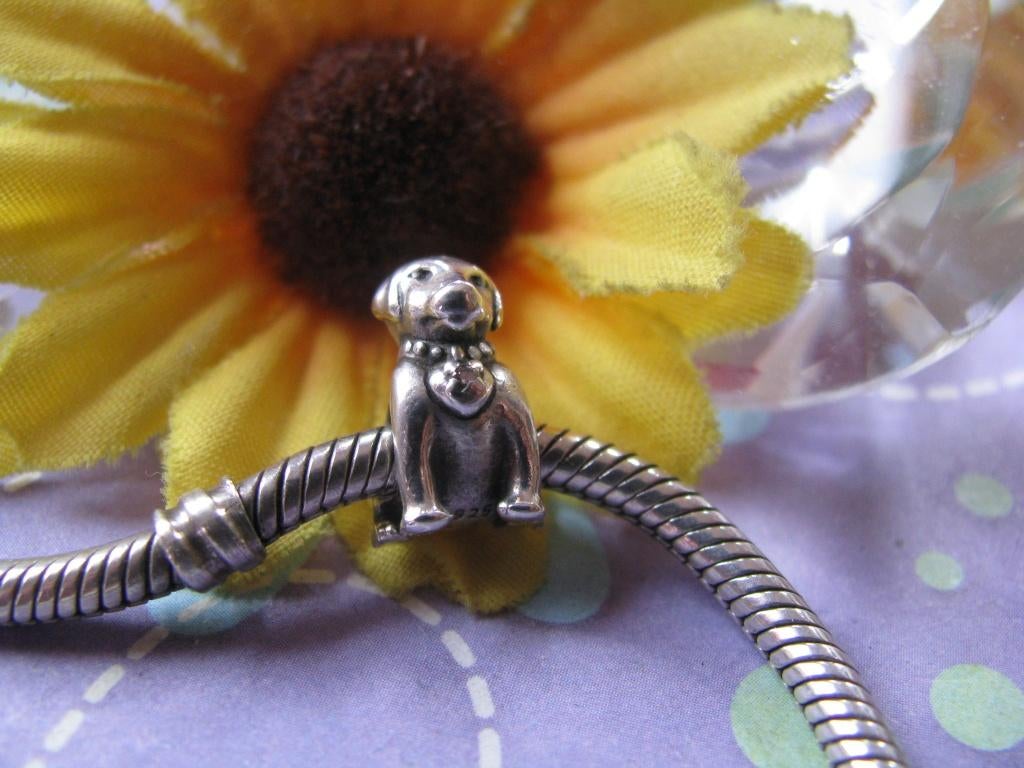 Pandora bedel 793179CZ = labrador + zirkonia HELDER in band, Gebruikt, Pandora, Ophalen of Verzenden, 1 bedel