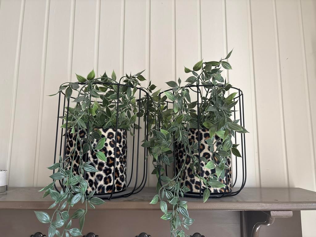 Plastic Bloempotten met Panterprint, Huis en Inrichting, Woonaccessoires | Vazen, Ophalen, Kunststof, Overige kleuren, Nieuw