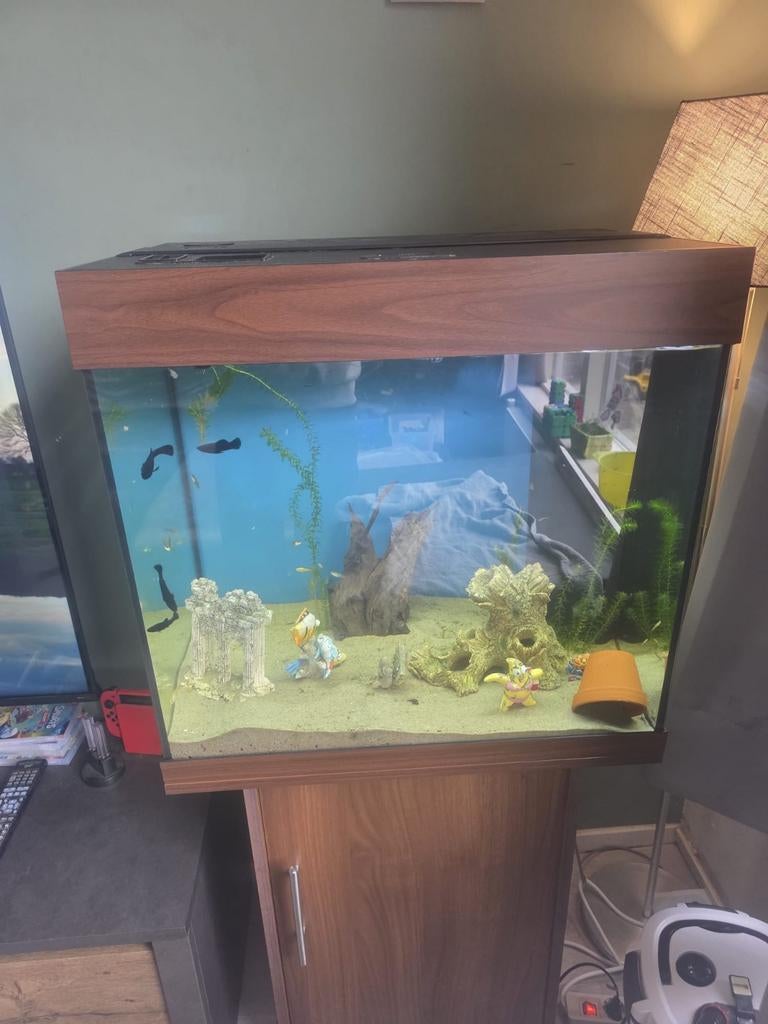 Juwel Lido 120, Dieren en Toebehoren, Vissen | Aquaria en Toebehoren, Ophalen, Zo goed als nieuw, Leeg aquarium