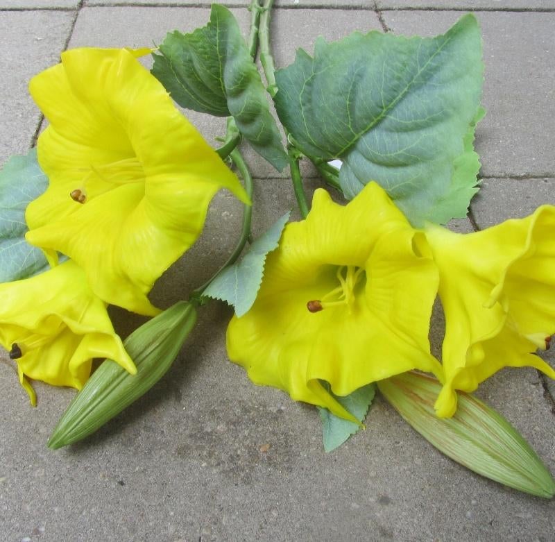 OPRUIMING - DATURA KUNST TAK - REAL TOUCH - 3,50 NU 2 EURO, Ophalen of Verzenden, Nieuw