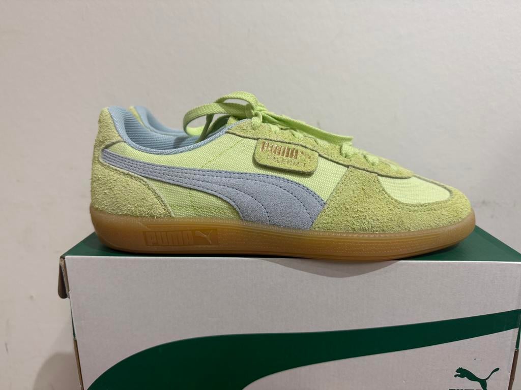 Te koop nieuwe Puma Palermo Vintage green blue, Kleding | Heren, Postlaan 3, Overige kleuren, Nieuw, Ophalen of Verzenden