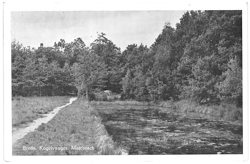 964533 Breda Kogelvanger Mastbosch 1957 Gelopen m postzegel, Verzamelen, Ansichtkaarten | Nederland, Gelopen, Noord-Brabant, 1940 tot 1960