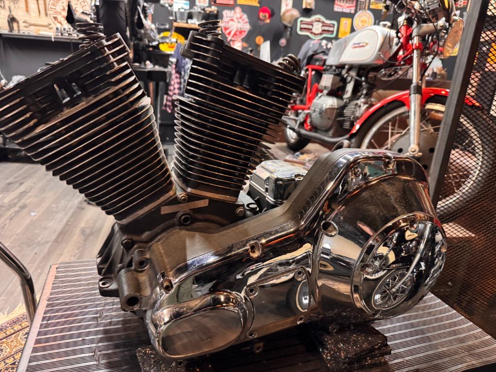 Harley davidson primaire kast touring en versnelingsbak, Motoren, Onderdelen | Harley-Davidson, Ophalen, Gebruikt