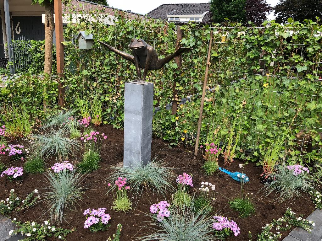 Bronzen Tuinbeeld | Jumping Frog XL bronzenbeelden-winkel