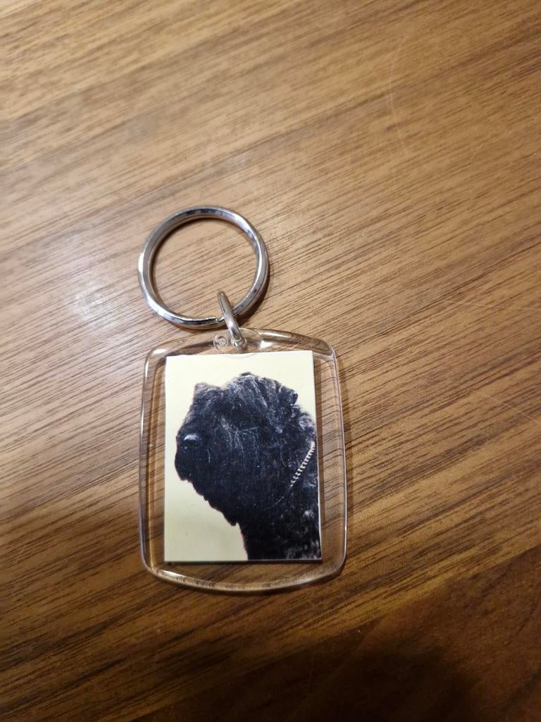565 Honden sleutelhanger Bouvier, Ophalen of Verzenden, Gebruikt