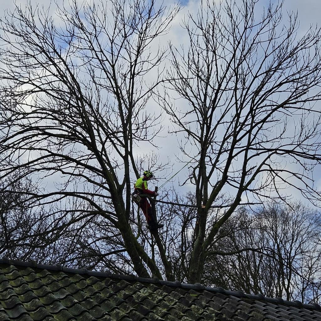 Bomen klimmend snoeien kappen knotten, Tuin en Terras, Minder dan 3 m³, Ophalen