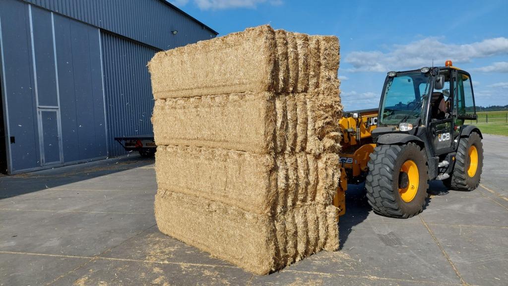 Spaans gehamerd tarwestro, Ophalen, Overige soorten