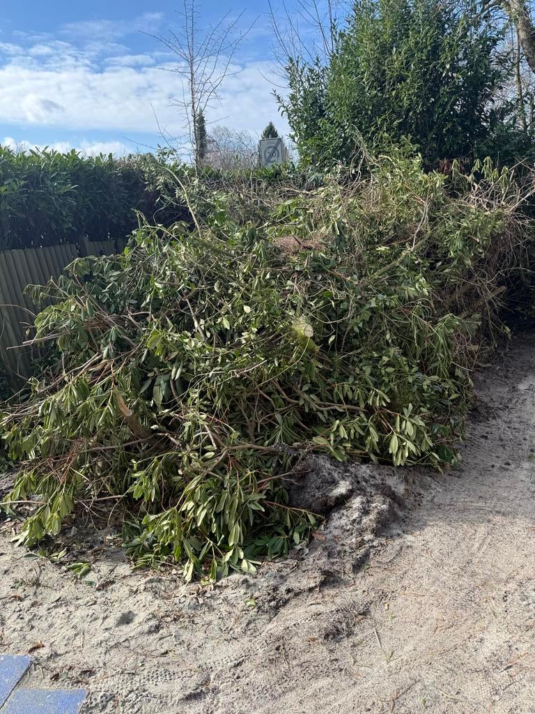 Snoeiafval voor paasvuur of brandhout, 3 tot 6 m³, Ophalen, Overige houtsoorten, Takken