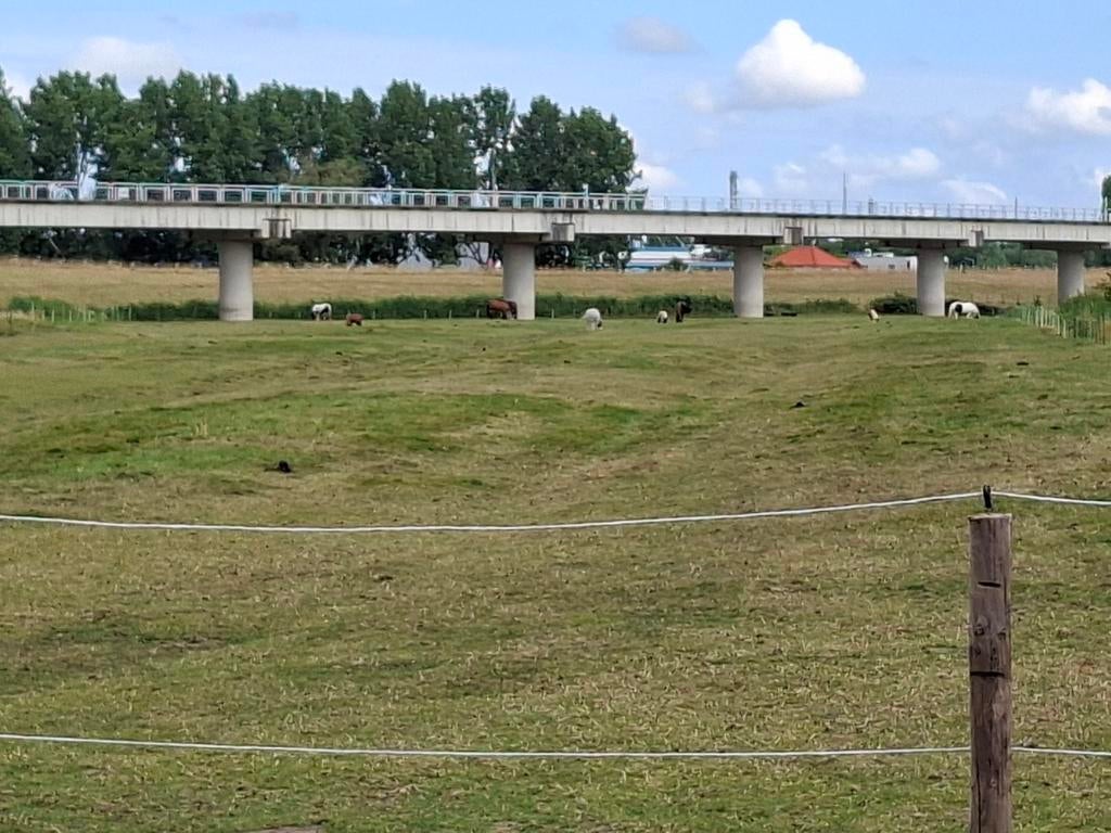 Zomerweide, Dieren en Toebehoren, Stalling en Weidegang