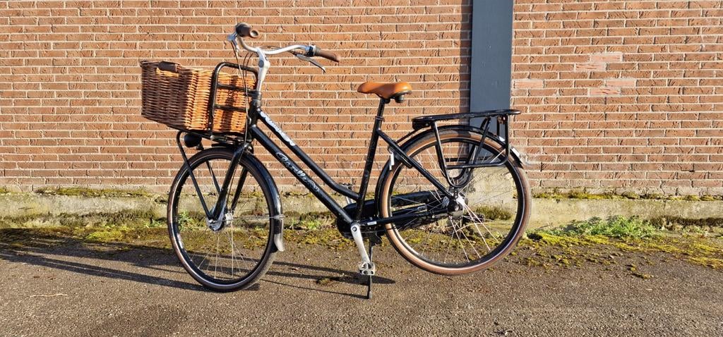 Gazelle Miss Grace Damesfiets 54 framemaat 7 versnellingen, Fietsen en Brommers, Ophalen, Gebruikt, Gazelle