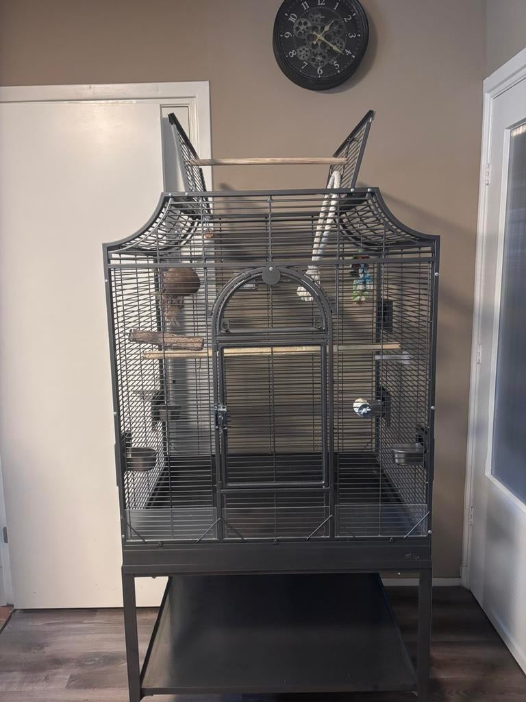 Montana kooi type 3, Ophalen, Zo goed als nieuw, Metaal, Vogelkooi