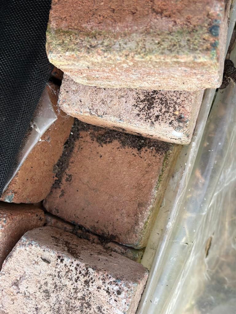 6 m2 Cobblestones / Steentjes - Nieuw in verpakking, Ophalen, Overige materialen, Klinkers, Nieuw