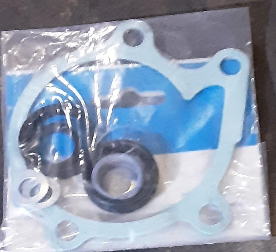 Volvo B18/20 waterpomppakking set, Ophalen of Verzenden, Nieuw, Volvo