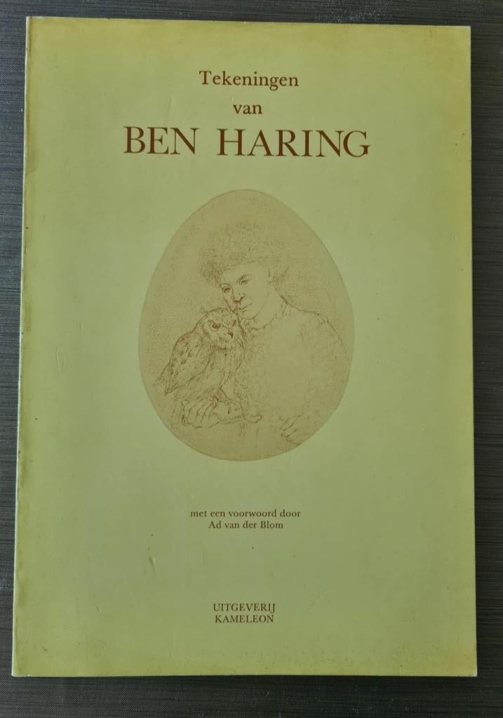 Tekeningen van Ben Haring - Bas Haring, Ophalen of Verzenden, Zo goed als nieuw, Schilder- en Tekenkunst