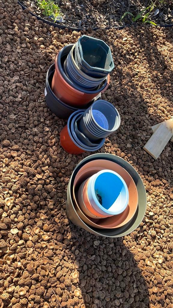 Kweekpotjes plantenpotjes gratis, Tuin en Terras, Kweekspullen, Ophalen, Gebruikt, Overige typen