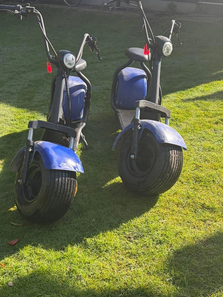 Elektrische shoppers, Ophalen, Gebruikt