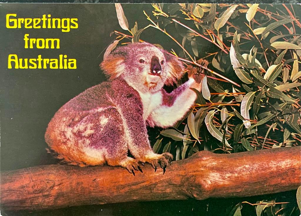 Australië, greetings from., Verzamelen, Ansichtkaarten | Buitenland, Ophalen of Verzenden, Gelopen, Buiten Europa