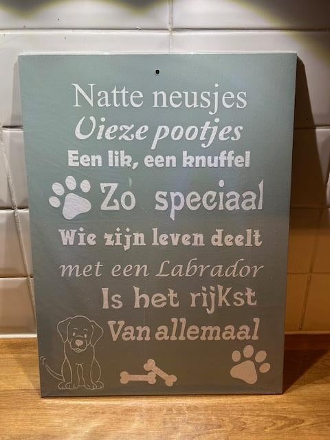 K33-NIEUW decoratief wandbord Labrador 30x40cm, Ophalen of Verzenden, Nieuw