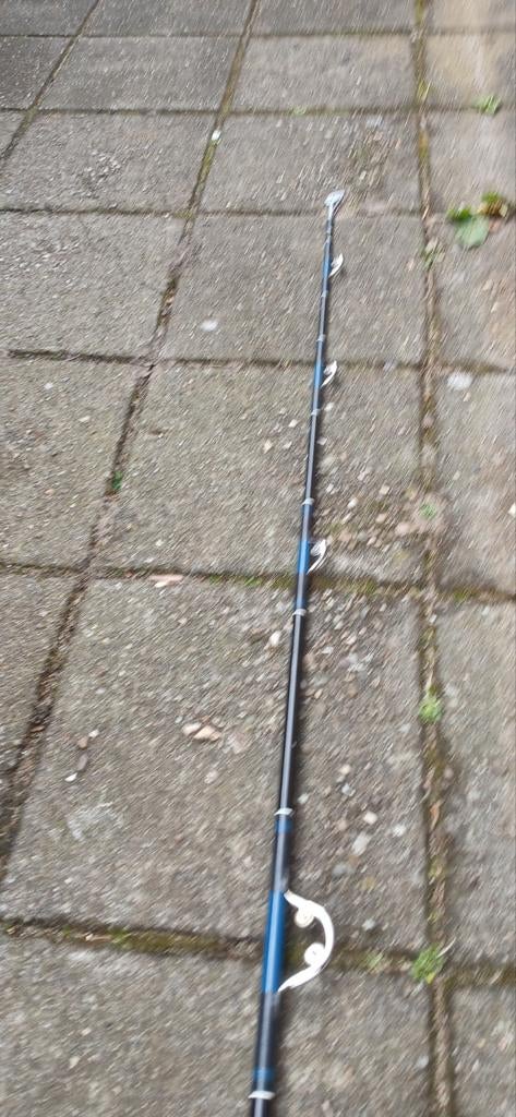 Tekoop vis spullen, Watersport en Boten, Hengelsport | Zeevissen, Ophalen of Verzenden, Gebruikt, Werphengel