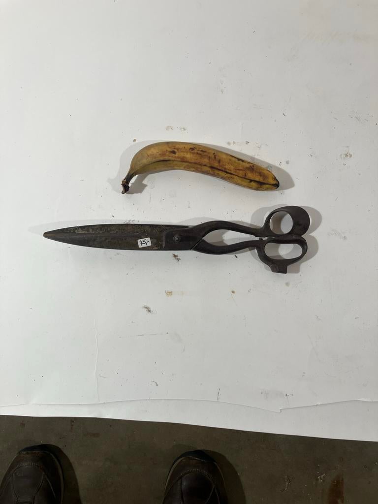 Grote oude schaar, Ophalen of Verzenden