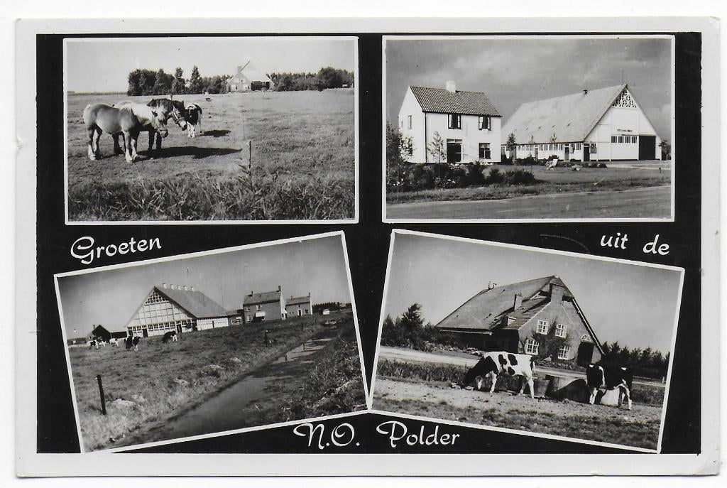 Noord Oost Polder  Ansichtkaart uit 1954   ( B7739 ), Verzenden, 1960 tot 1980, Gelopen, Zeeland