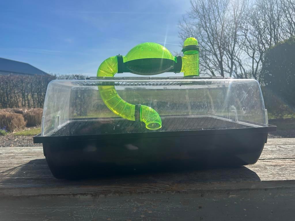 Hamsterkooi met doolhofje, Dieren en Toebehoren, Kooi, Gebruikt, Minder dan 75 cm, Hamster