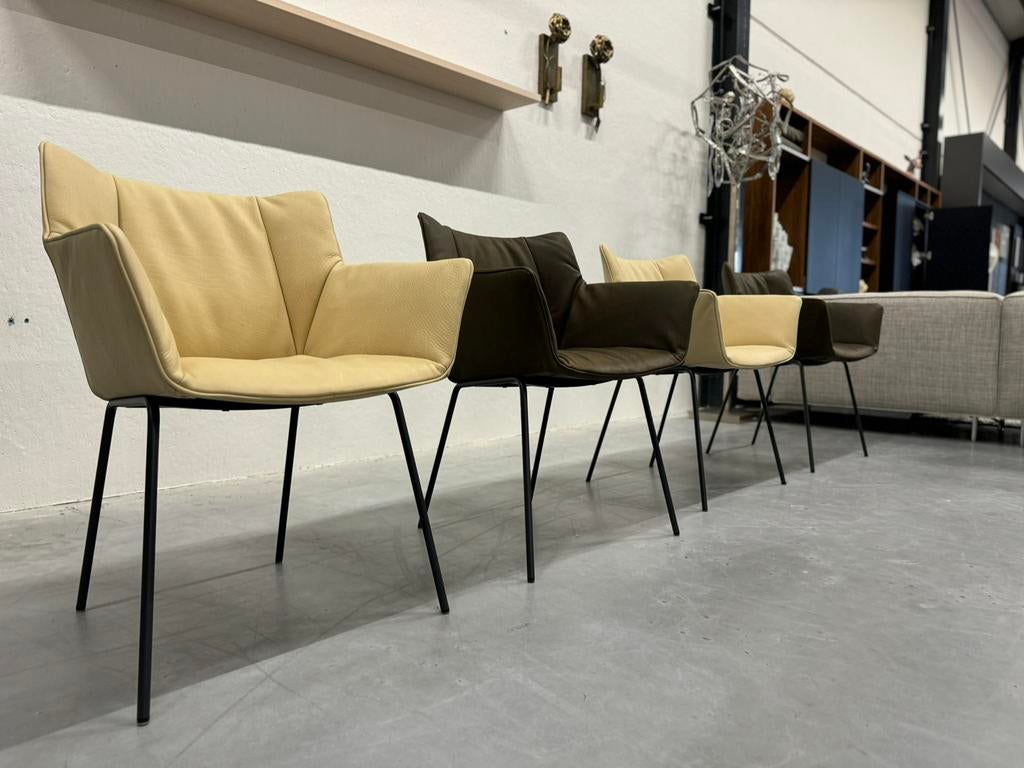 4 Nieuw Label Van den Berg Gustav Eetkamerstoel Leer, Bruin, Nieuw, Leer, Ophalen of Verzenden