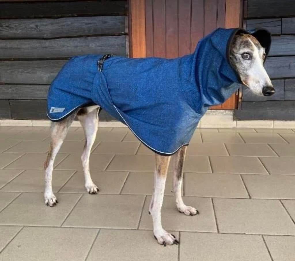 Holly Loo hondenjas jas hond Whippet Greyhound etc, Ophalen, Nieuw, Hondenjas