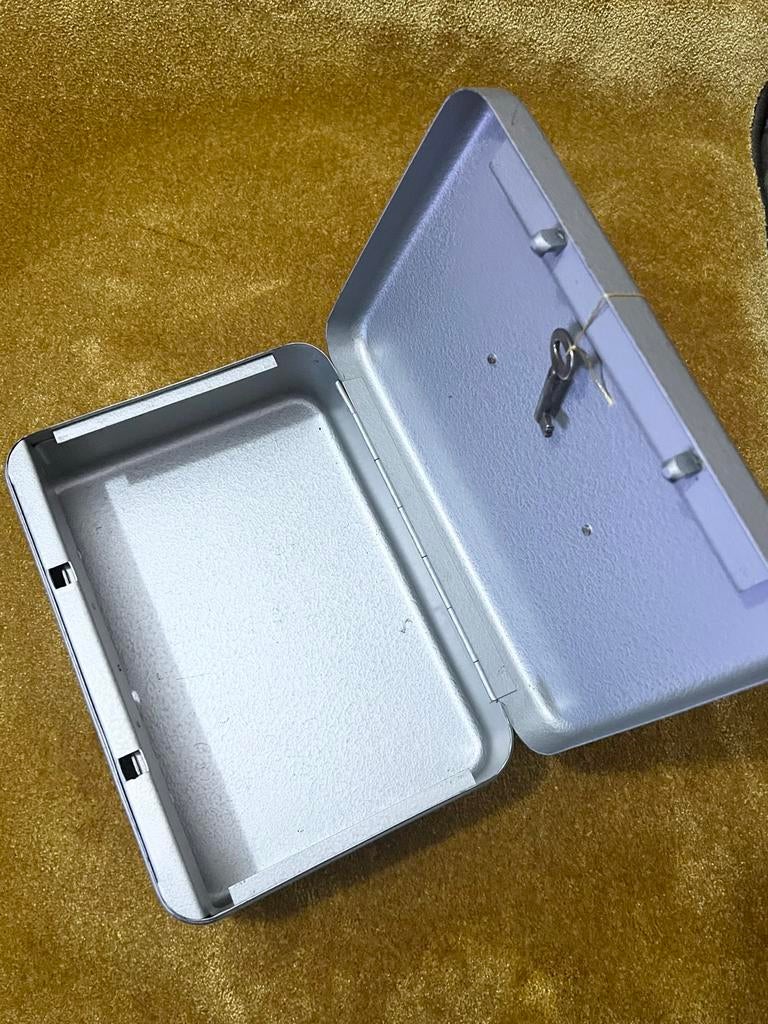 Metalen kistje met sleutel - 25x20x10 cm, Ophalen of Verzenden, Gebruikt, Metaal, Minder dan 50 cm