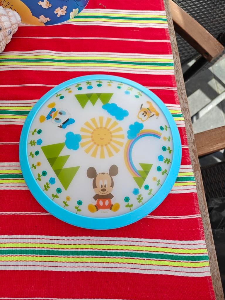 Disney plaffonieree, Huis en Inrichting, Lampen | Plafondlampen, Ophalen