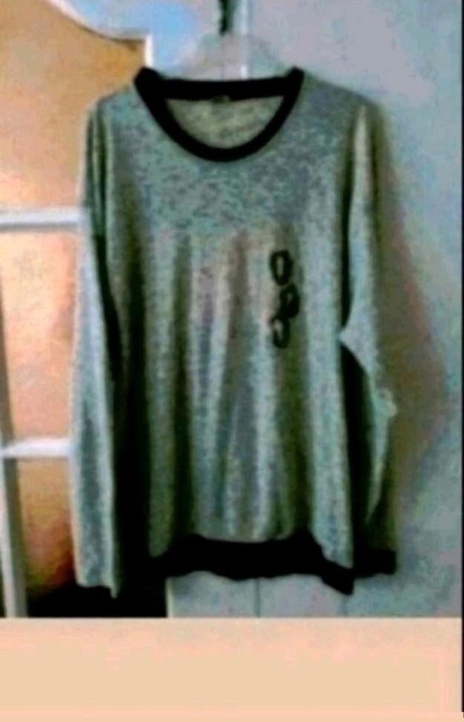 Blue bird trui, Ophalen of Verzenden, Zo goed als nieuw, Maat 56/58 (XL)