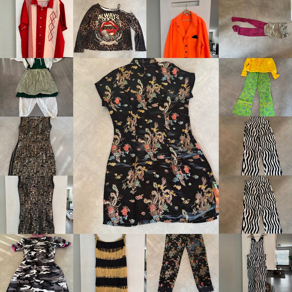 Carnavalskleding Maat S/M, Ophalen of Verzenden, Gedragen, Maat 36 (S), Korte mouw