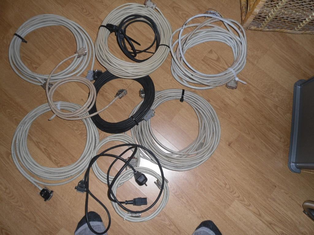 Tipes Verleng kabels      Postduiven, Meerdere dieren, Postduif