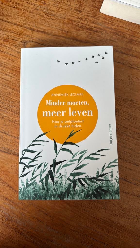 Annemiek Leclaire - Minder moeten, meer leven, Ophalen of Verzenden, Zo goed als nieuw, Annemiek Leclaire