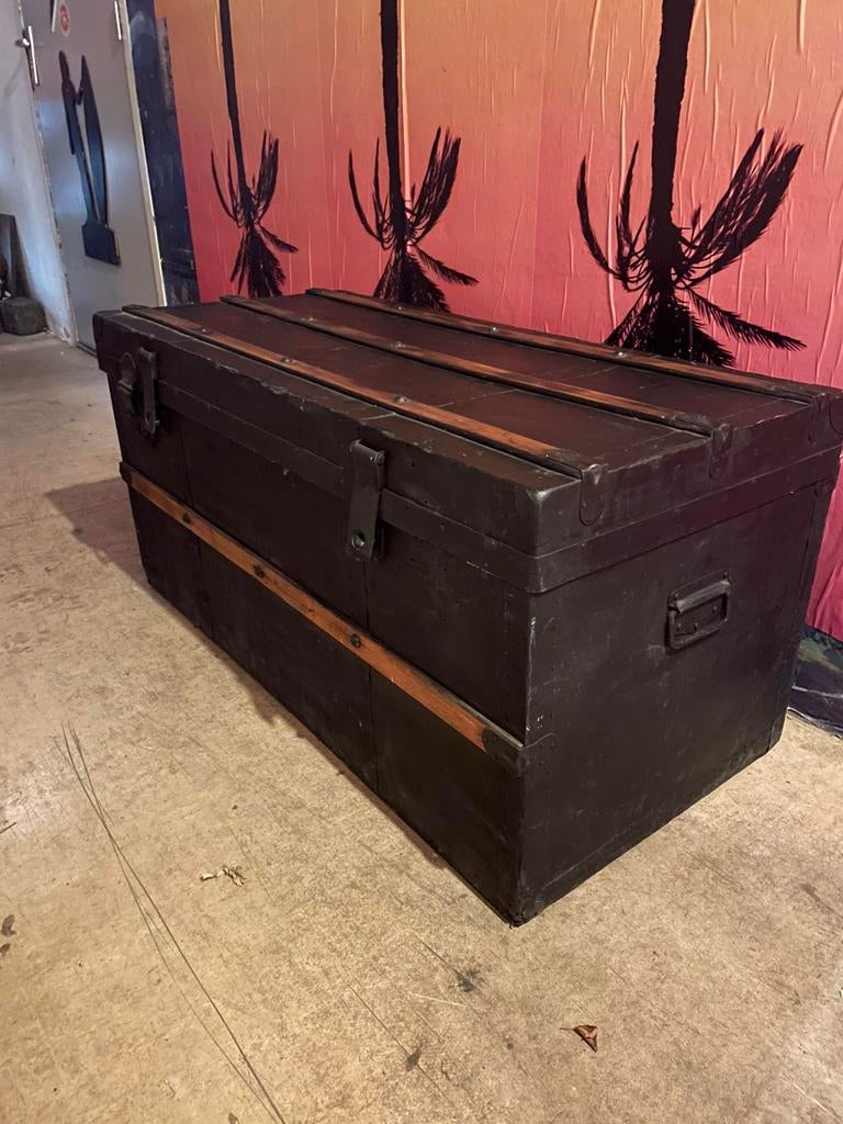 Scheepskist Palmboom, Ophalen, Minder dan 50 cm, Gebruikt, 50 tot 100 cm