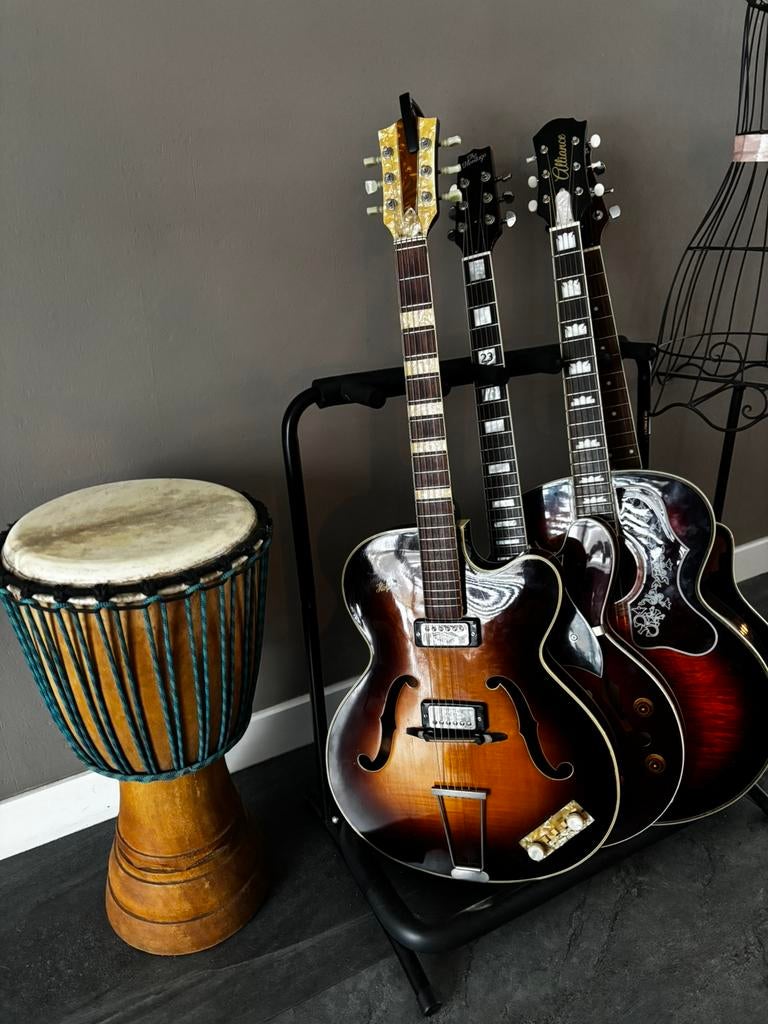 Vintage Höfner Archtop ±1960 | 2 Pickups |, Muziek en Instrumenten, Ophalen of Verzenden, Gebruikt, Overige typen