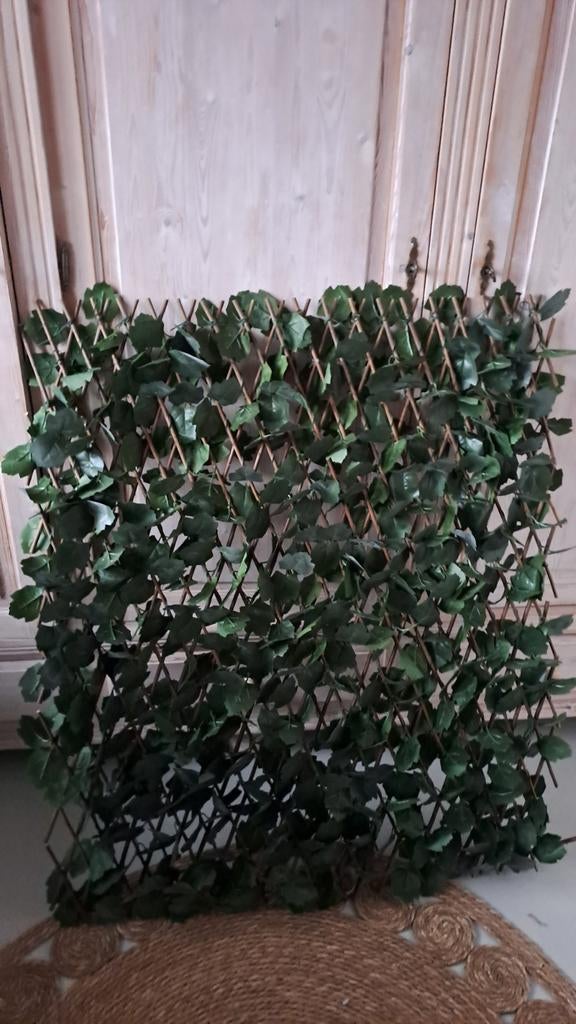 Klimop rek voor decoratie, Tuin en Terras, Tuinschermen, Nieuw, Kunststof, 100 tot 150 cm, 100 tot 150 cm, Ophalen of Verzenden