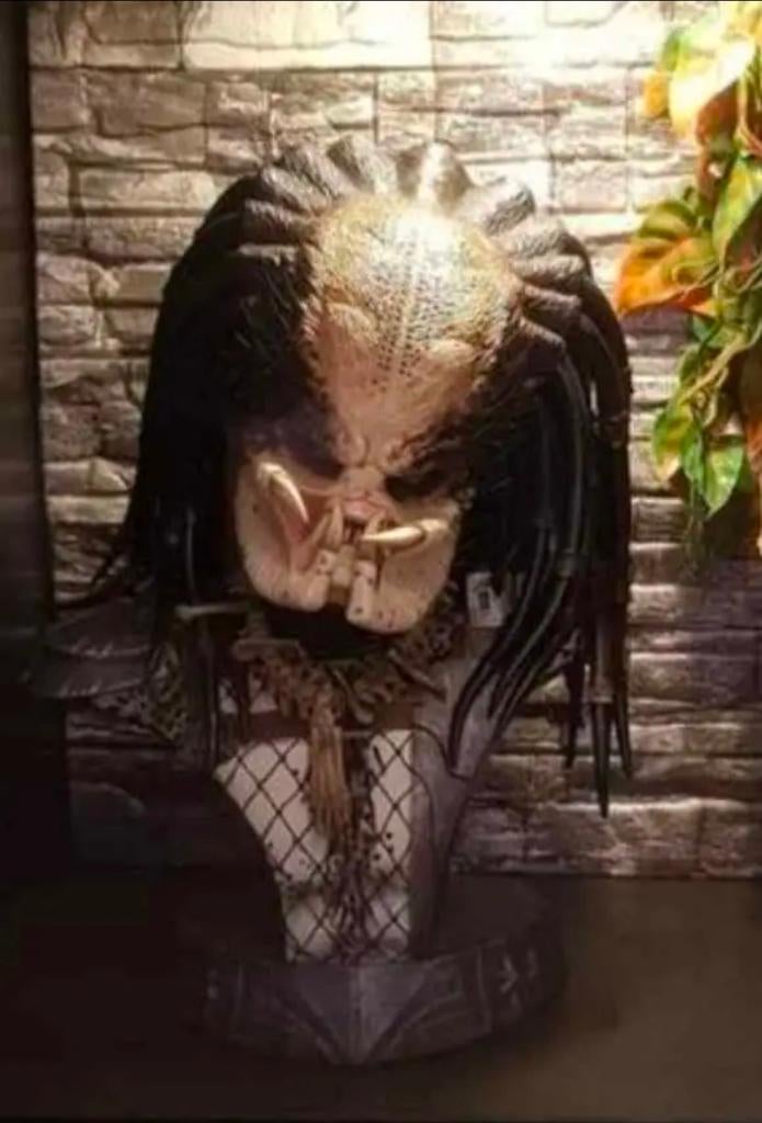 Sideshow predator legendary scale bust, Ophalen of Verzenden, Zo goed als nieuw