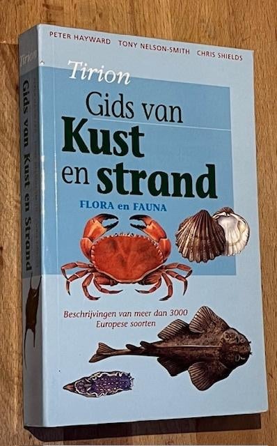 Peter Hayward e.a. Tirion Gids van KUST en STRAND. 1999., Ophalen of Verzenden, Zo goed als nieuw, Natuur algemeen, Peter Hayward e.a.
