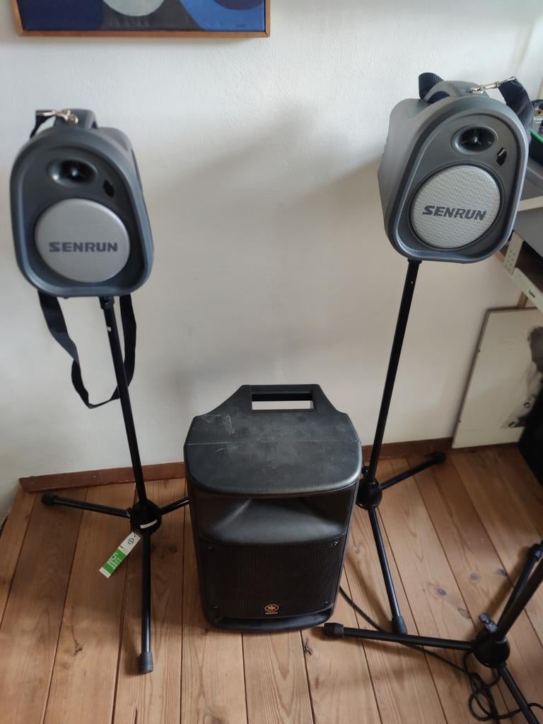 Yamaha MSR 250 P.A. Systeem met Senrun  ep 580 p Speakers, Ophalen of Verzenden, Gebruikt, Minder dan 500 watt, P.A.