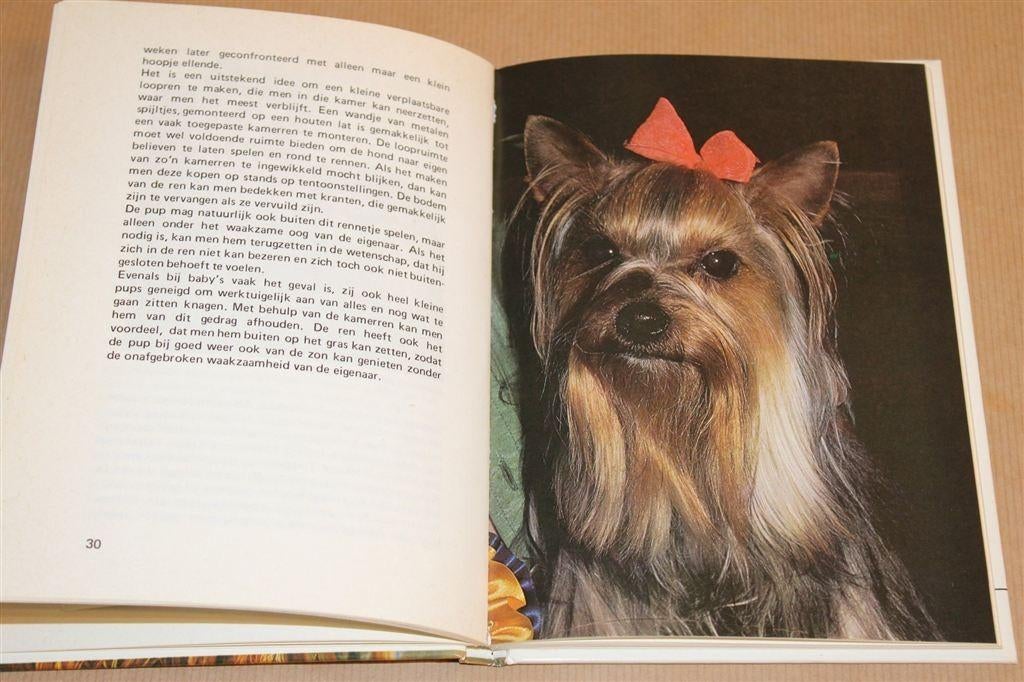 Yorkshire Terrier — Ras & Verzorging [1980], Boeken, Ophalen of Verzenden, Gelezen, Vogels